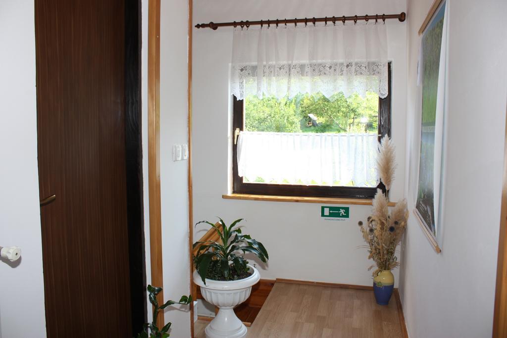 Apartment Jelena Selište Drežničko Pokój zdjęcie