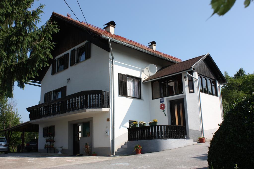 Apartment Jelena Selište Drežničko Pokój zdjęcie