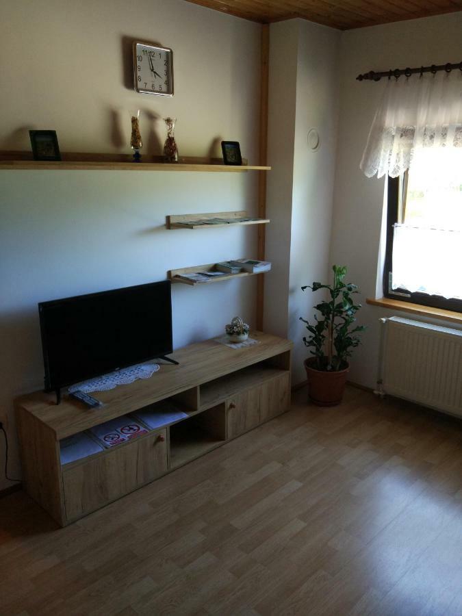 Apartment Jelena Selište Drežničko Zewnętrze zdjęcie