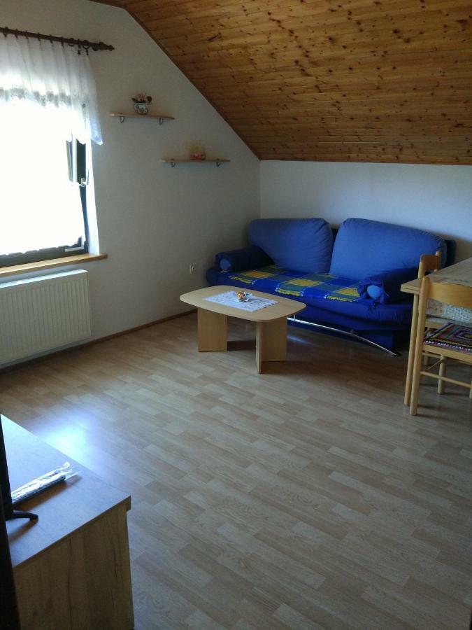 Apartment Jelena Selište Drežničko Zewnętrze zdjęcie